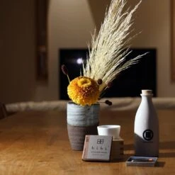 Ki:ts Shop -Ki:ts Shop 242324022 562517548229077 2788378396155161637 n