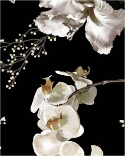 Alison - Black / Silk Kimono Robe - KAYLL -Ki:ts Shop Alison