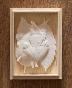 HA KO 01 / Box Set Of 5 - HA KO