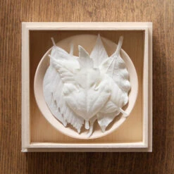 HA KO 02 / Box Set Of 6 With A Plate - HA KO