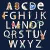 Scarf / ABCS Marine / Navy & Multi / CU274 - SWASH LONDON