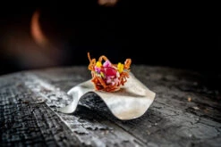 Suzugami 24x24 - Syouryu -Ki:ts Shop IMG 6488 5e89812f 69e8 469c 824d c2f8c3e0148b