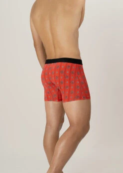 IMPERIAL KIKU SILVER / Red - VELAROF -Ki:ts Shop ImperialKiku photo velarof underwear 023JPsilver4 W775