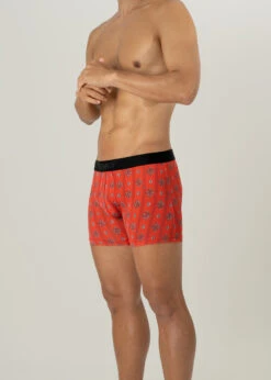 IMPERIAL KIKU SILVER / Red - VELAROF -Ki:ts Shop ImperialKiku photo velarof underwear 023JPsilver5 W775