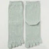 Organic Cotton Five Finger Socks Vegetable Dyeing / Spring Green - Yu-ito