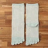 Organic Cotton Five Finger Border Socks Vegetable Dyeing / Spring Green - Yu-ito