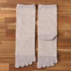 Organic Cotton Five Finger Border Socks Vegetable Dyeing / Lilac - Yu-ito -Ki:ts Shop No.14017 PURPLE W775