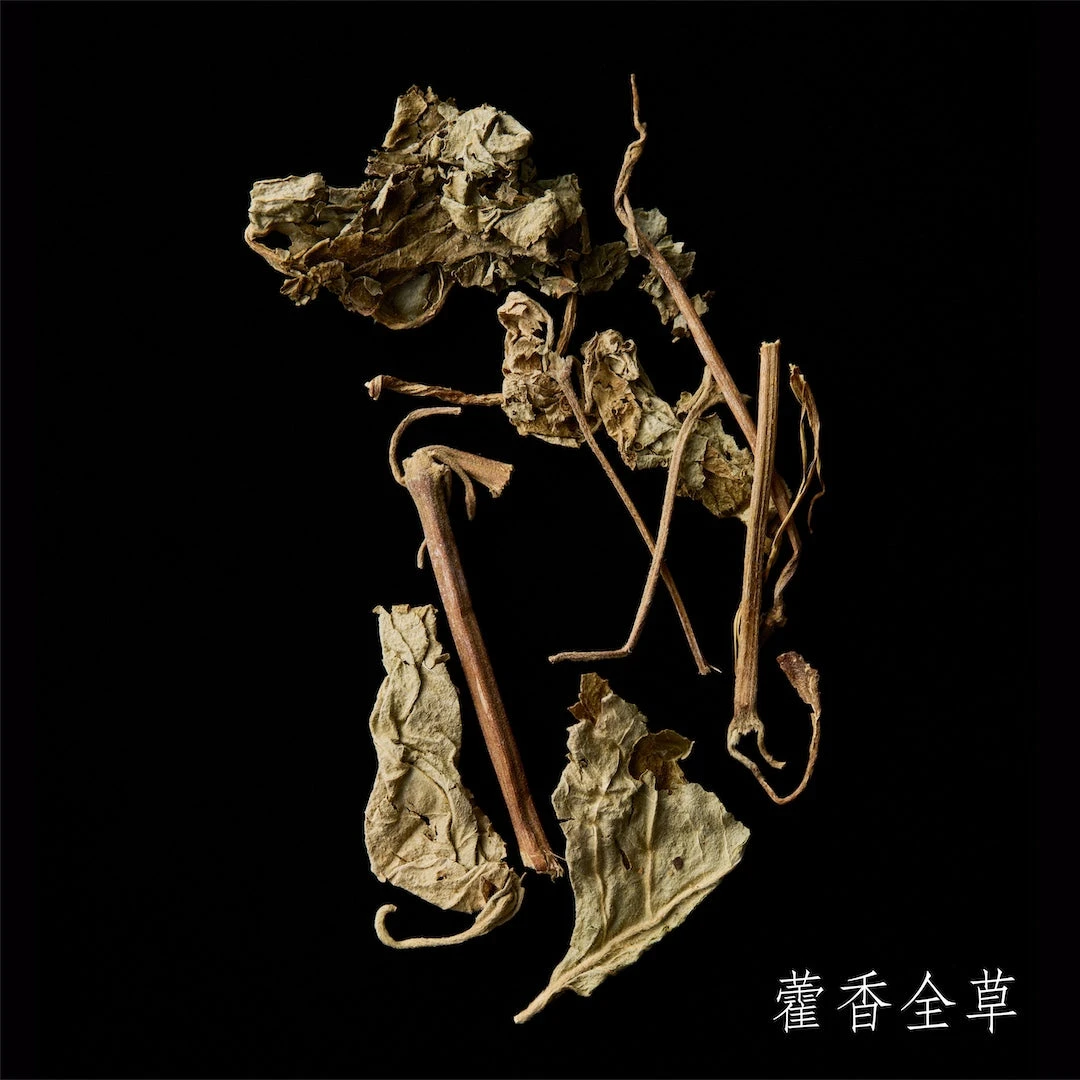 Fragrant Materials / No.051 Patchouli - &INCENSE 4 Fragrant Materials / No.051 Patchouli - &INCENSE - Image 2