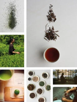 Noma In Kyoto / Issue 01 - Magazine -Ki:ts Shop NomainKyoto 03