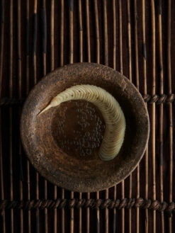 Noma In Kyoto / Issue 01 - Magazine -Ki:ts Shop NomainKyoto 07