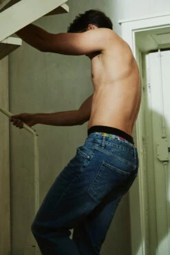 CRYSTAL REBORN / Multicolour - VELAROF -Ki:ts Shop Velarofshooting200327 W775