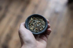 Lemongrass + Green Tea Soap - Harvest -Ki:ts Shop image 7f9990ef d7a5 4a3b a150 ea5975723c2e