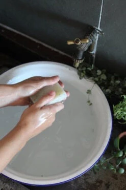 Rosehip + Eucalyptus Soap - Harvest -Ki:ts Shop image d47e1f54 60c1 4577 9f3c a93cf15ed3aa