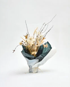 Ki:ts Shop -Ki:ts Shop image ebb25f61 2411 4cf1 8b29 109cd22a2de0