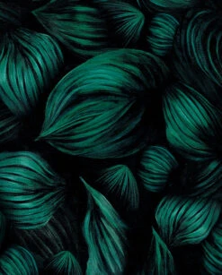 Kate - Black / Silk Kimono Top - KAYLL -Ki:ts Shop kate1