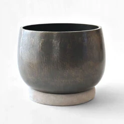 Orin 8 Sun / Black - Syouryu