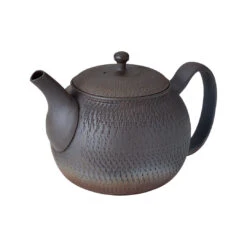 Tokoname Coffee & Tea Pot - (ki:ts) X Tokoname-yaki